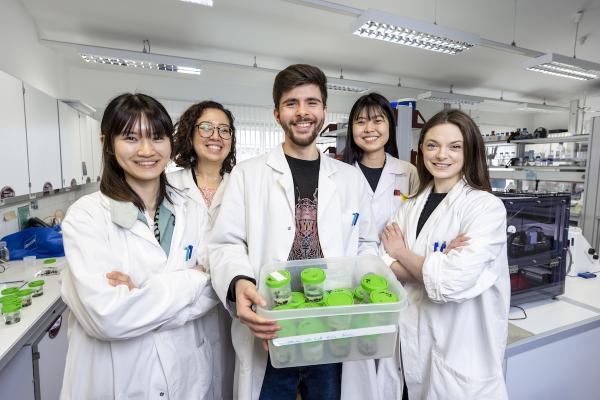 Forschende im Zentrum für Integrative Biodiversitätsentdeckung 