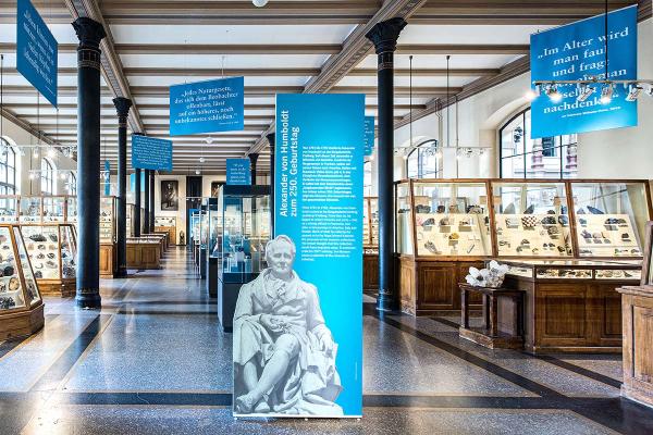 Plakate der Humboldt-Intervention zwischen und über den Schaukästen im Mineraliensaal