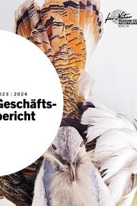 Eine Großtrappe auf dem Cover des geschäftsberichtes 2023 und 2024