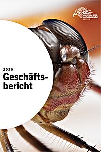 Geschäftsbericht 2020
