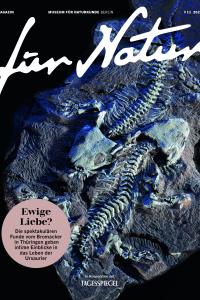 Für Natur Journal 11 Bromacker