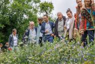 Bürger:innen und Projektbeteiligte von "Vielfalt verstehen" in einer Grünanlage in Berlin-Reinickendorf