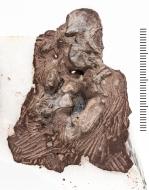 Das Fossil Bromerpeton subcolossus