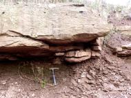 Burrow chamber between sandstone and mudstone layers, front view. Tambach Formation, early Permian, Germany.