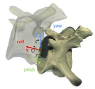Computermodell eines Schwanzwirbels von Giraffatitan