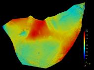 Farbtiefenkarte des Holotyps aus dem 3D-Modell