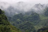 Wolkenverhangene, bewaldete Berge im Nationalpark Cuc Phuong  