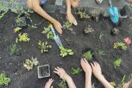 Mehrere Menschen pflanzen ein Beet an