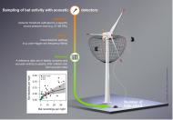 Sampling of bat activity with acoustic detectors