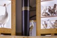 Zukunftsplan & ZUGvögel