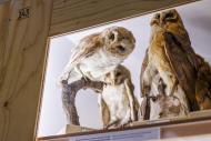 Zukunftsplan & ZUGvögel