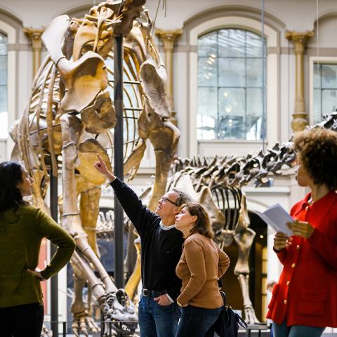 Blick vom Foyer in den Sauriersaal des Museums für Naturkunde