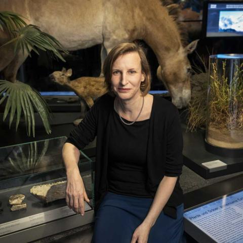 Astrid Faber Astrid Faber