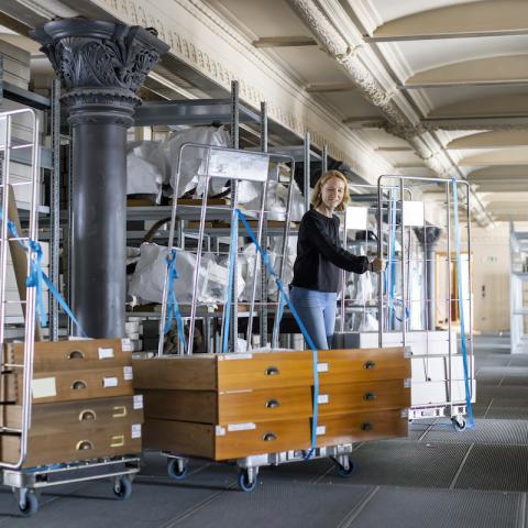 Registrar Meta Friese in der Sammlung des Museums für Naturkunde