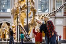 Brachiosaurus  und Familie