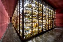 High shelves with animal preparations in the Wet Collection