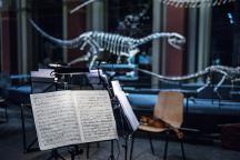 © Hwa Ja Götz, Museum für Naturkunde Berlin