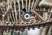 Wissenschaftler macht 3D Aufnahmen der Saurierskelette in der Ausstellung