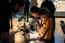 Mikroskopieren beim Thementag ein Geschmack der Zukunft der Meere im Museum für Naturkunde Berlin