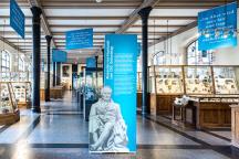Humboldt-Intervention im Mineraliensaal