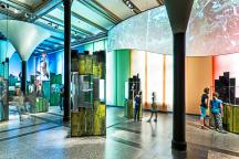 Einblick in die Sonderausstellung Ara des Museums für Naturkunde Berlin
