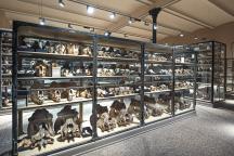 Führung durch die Sammlung