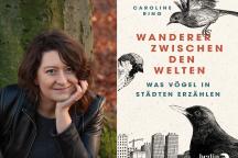 Cover Wanderer Zwischen den Welten