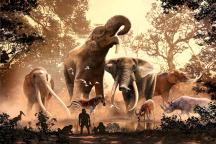 Elephant_landscape_c_Julius Csotonyi