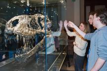 Tyrannosaurus Rex Schädel in Vitrine. Guide erklärt einer Gruppe Einzelheiten