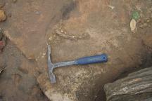 Fossilised lower jaw of the early terrestrial vertebrate Tanyka amnicola embedded in rock during field excavation, with a geological hammer placed beside it for scale.