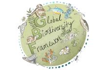 Illustration  zum Global Biodiversity Framework
