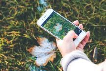 Person fotografiert ein Herbstlaub auf grüner Wiese mit goldenem Iphone