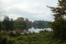 Blick auf die Karower Teiche