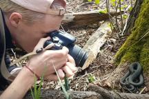 Eine Schlange wird in der freien Natur fotografiert. 