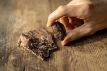 Two small reddish-brown stones – fossilised (un)digested remains of vertebrates.