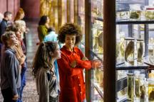 Visitors view the wet collection of the Museum für Naturkunde Berlin