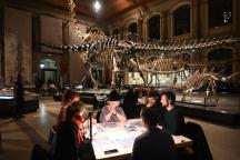 Spielen am Fuße der Saurierinsel im Sauriersaal des Museums für Naturkunde