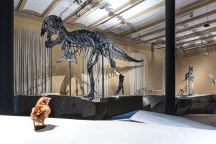 Dinosaurier Tristan Otto und Küken