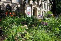 Blick vom Bestäubergarten auf das Museum für Naturkunde Berlin. Im Vordergrund sind verschiedene bunte Blumen zu sehen. Im Hintergrund die Fassade des Haupteingangs.