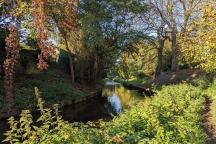 Der Fluss "Panke" mit dicht bewachsenem Ufer 