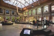 Dinosauriersaal im Museum für Naturkunde Berlin