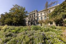 Pollinator Pathmaker und Museum für Naturkunde Berlin