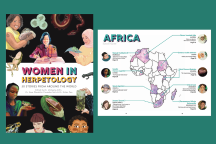 Global Women in Herpetology
