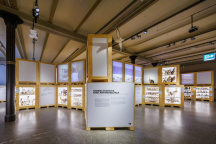 Sonderausstellung Zukunftsplan und & ZUGvögel