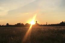 Abendsonne am Tempelhofer Feld. 