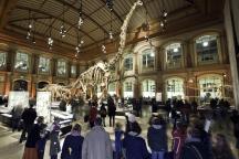 Lange Nacht er Wissenschaften im Museum für Naturkunde