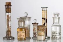Alkoholkonservierte Gläser der Riesentausendfüßer aus der Sammlung der Spinnentiere und Tausendfüßer