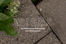Der Blick von oben auf Betonboden-Platten mit einzelnen Gräsern und Kräutern, die ins Bild ragen, darüber der Text: "Wie Gras. Ein literarischer Audioguide zum Anthropozän durch das Museum für Naturkunde Berlin"