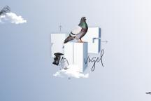 Zugvögel 