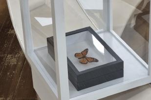 Loan Object